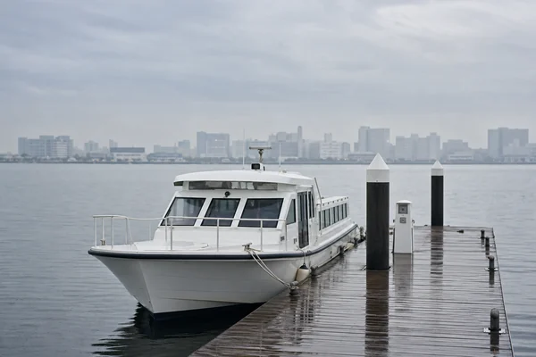 海洋散骨の雨天中止・振替ルール｜東京湾の気象と業者対応の見方【2026年版】のサムネイル画像